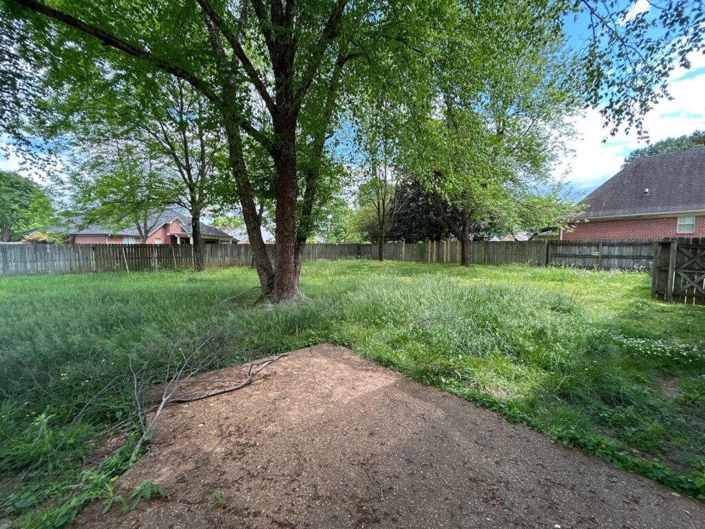 Rentals and Renovations - For Rent