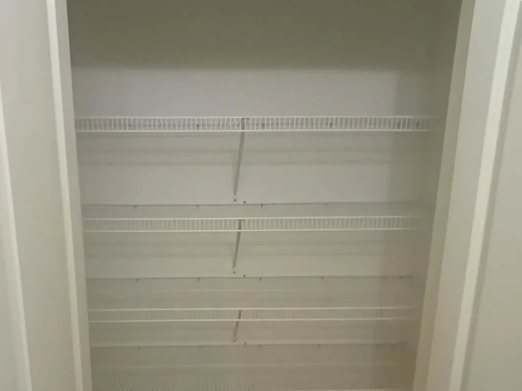 Rentals and Renovations - For Rent